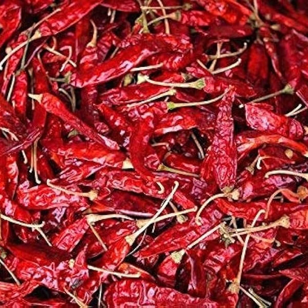 Dry Red Chilli