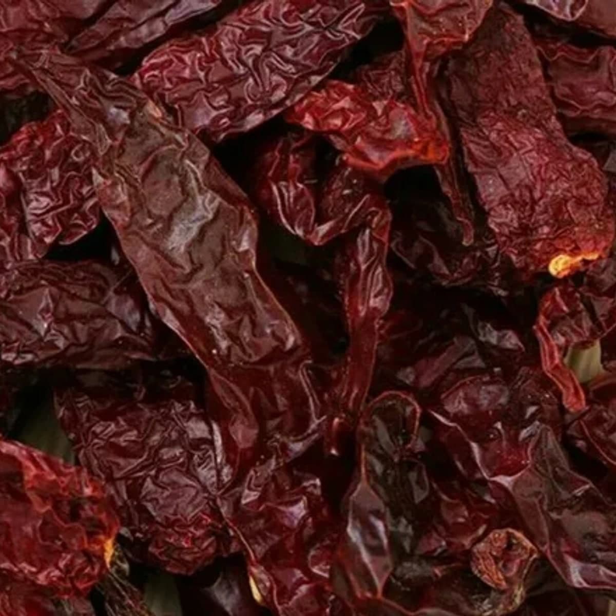 Guntur Chilli
