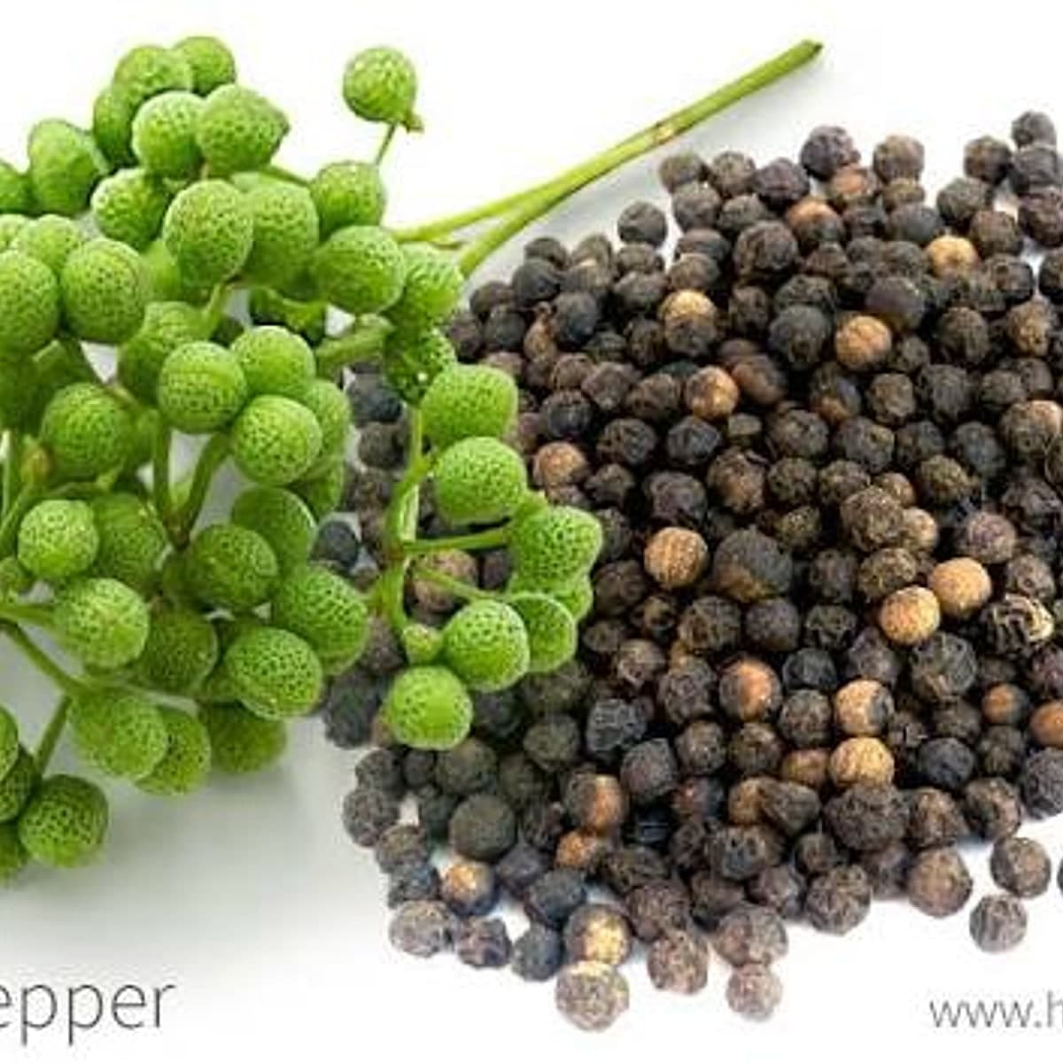 Black Pepper