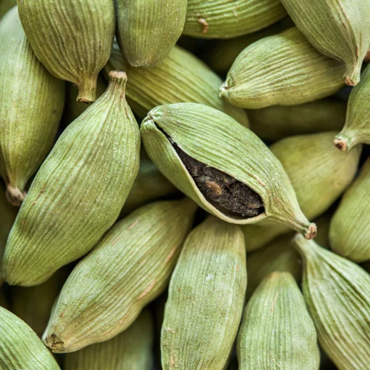 Cardamom